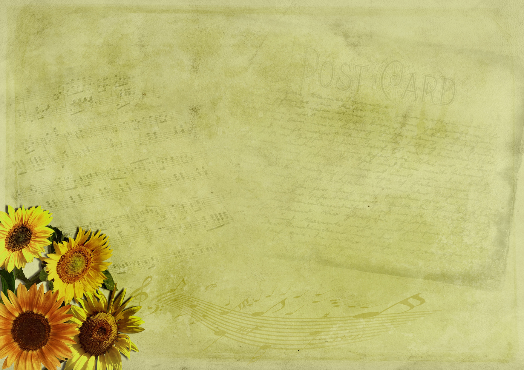 Sunflowers on Wall Background